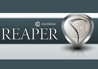 reaperrrrr Seguridad: La importancia de proteger tu ordenador en los tiempos actuales